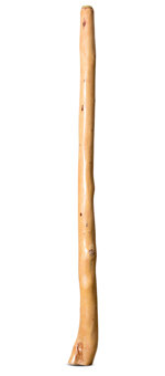 Earl Clements Didgeridoo (EC378)